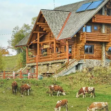 Rustic Ghetar